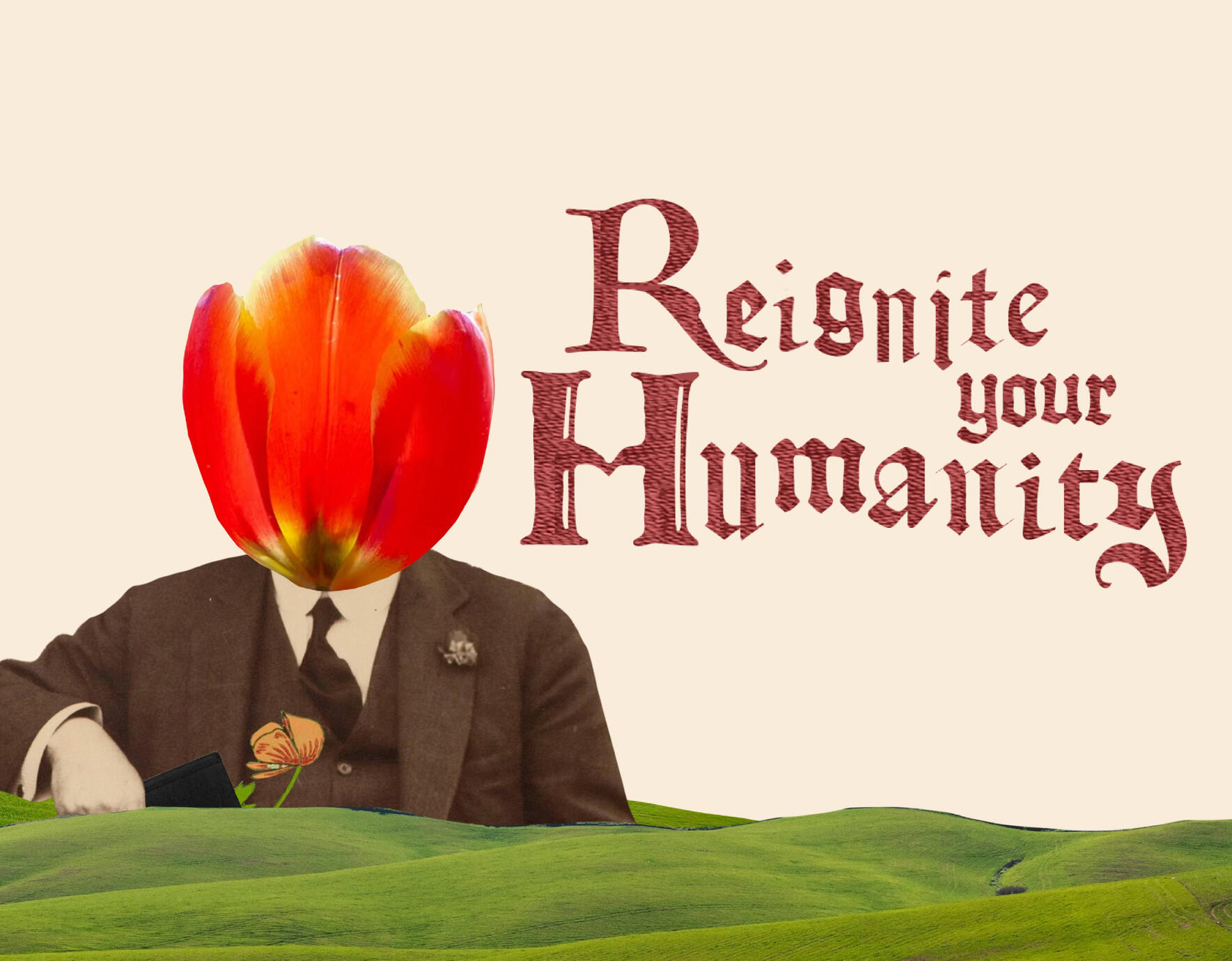 Reignite Your Humanity