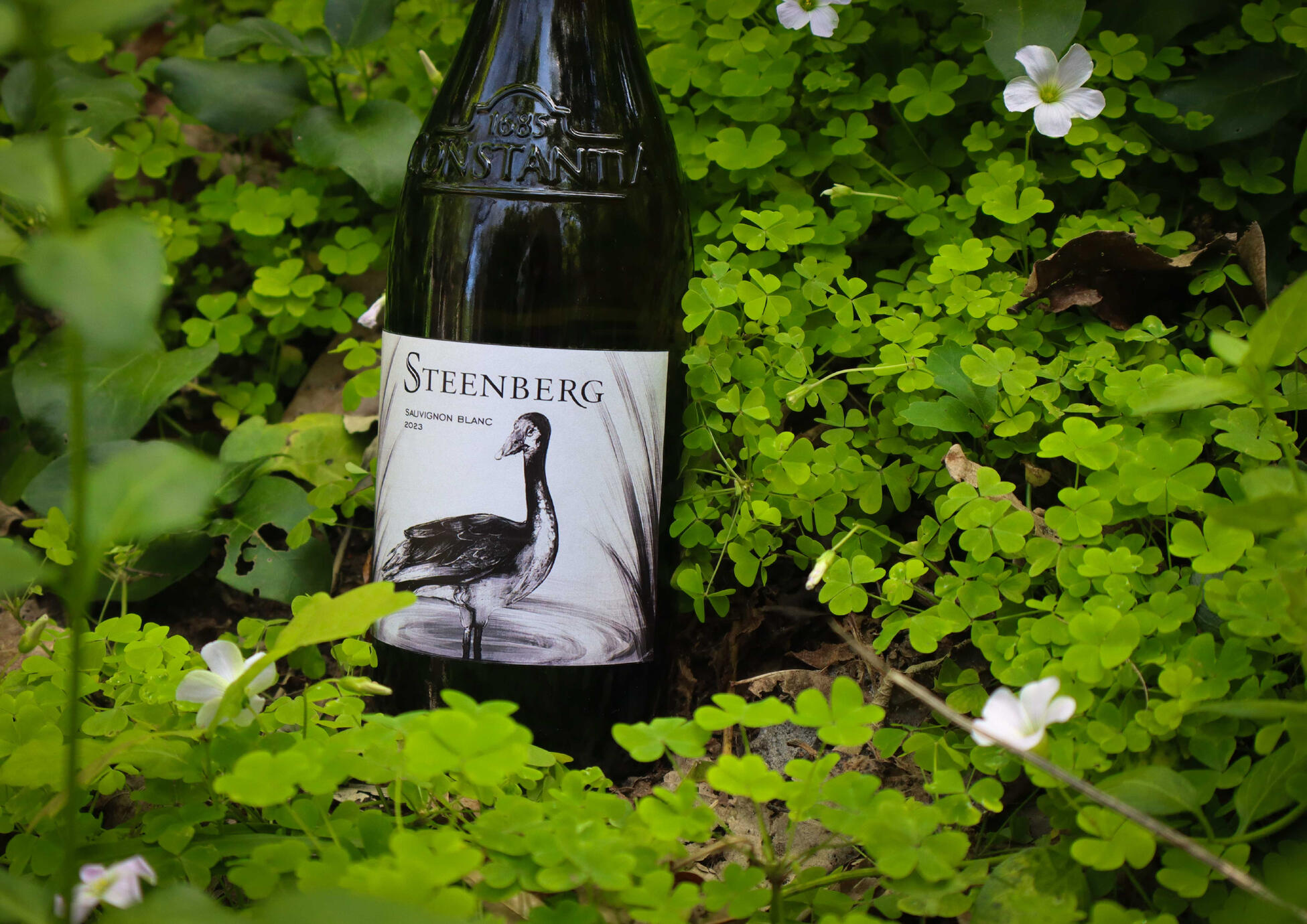Steenberg Wine